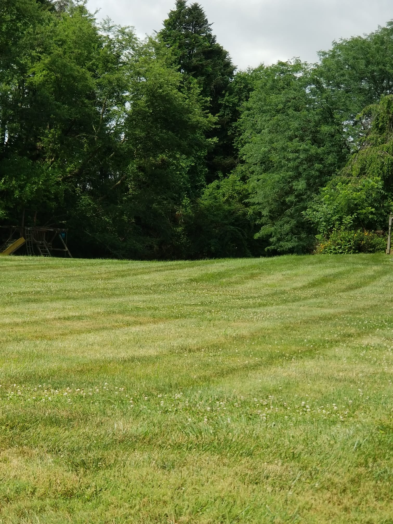 Landscaping