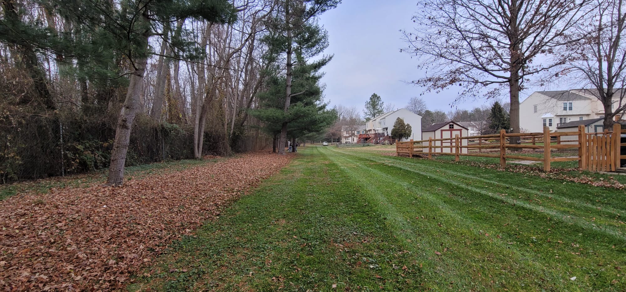 Lawn Maintenance